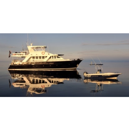 Sports Fishing Charter Business - Far North Queensland (DWBL1477)