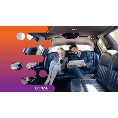 35653 Established & Profitable Limousine Business - Broad Service Offerings