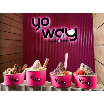 Expressions of Interest – YoWay Frozen Yogurt $85K Franchise