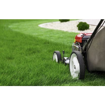 LAWN MOWING BUSINESS BAYSIDE  REGION