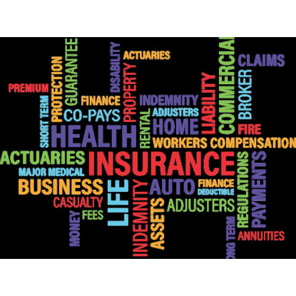 Established Insurance Brokerage  $2.56M