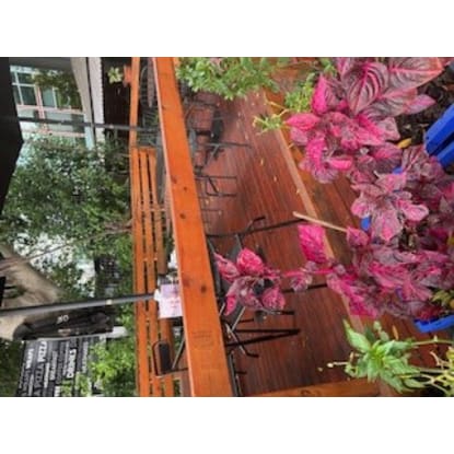 ​Cafe, located in Kingsgrove, operates six days a week.