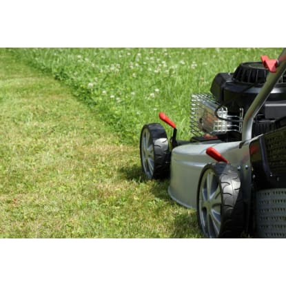 Property Cleaning and garden maintenance business