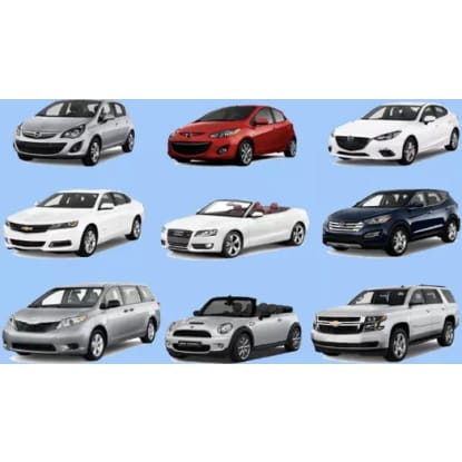 Car Rental Business – Tullamarine Airport, VIC