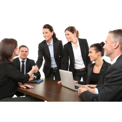 Consulting Business  Enterprise Clients, Proven Results  Price $815,000