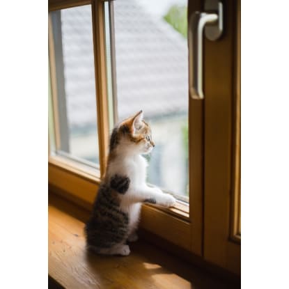 Double Glazing Business (Mobile) for sale