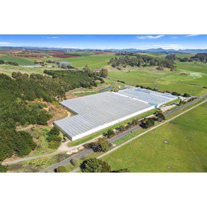 Hydroponic Vegetable Crop Farm - Land, Buildings & Machinery