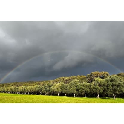 40 ACRE RESORT FROM HEAVEN – LEASEHOLD OPPORTUNITY