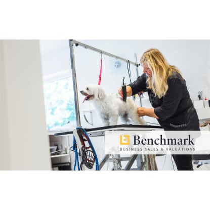 Fully Managed Grooming Salon | Rare Opportunity | Profitable & Well-Established