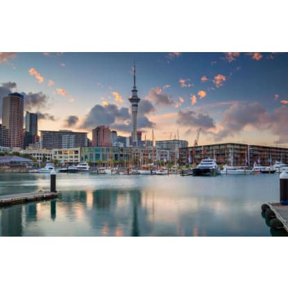 Highly Profitable Business in the Leisure Industry| $3m EBITDA  Auckland NZ