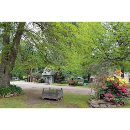 Harrietville Caravan Park - Established leasehold caravan park at the foot of the Victorian Alps
