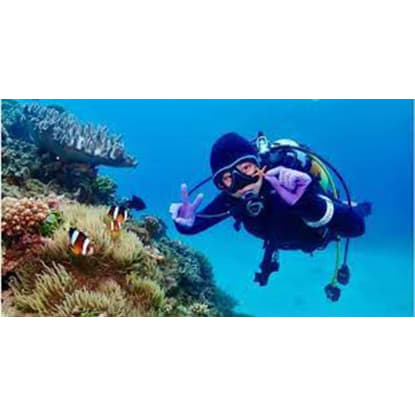 Professional Scuba Retailer