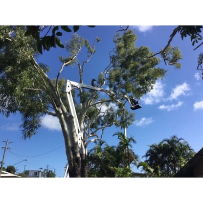 Whitsundays QLD Business - Owners Making $300k+