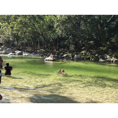 Full Day Daintree Rainforest & Mossman Gorge Tours  Departing Cairns, Port D