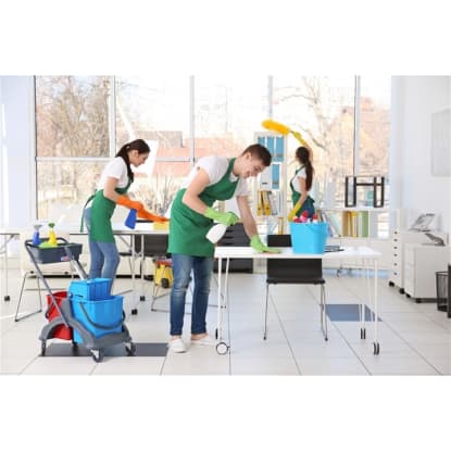 Reputable Cleaning Services Business Opportunity - Eastern Suburbs