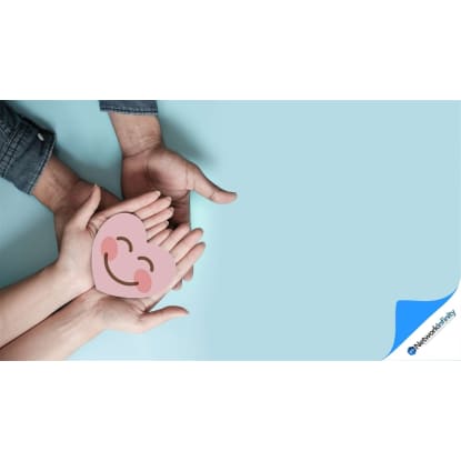 Clean NDIS company with 9 registrations