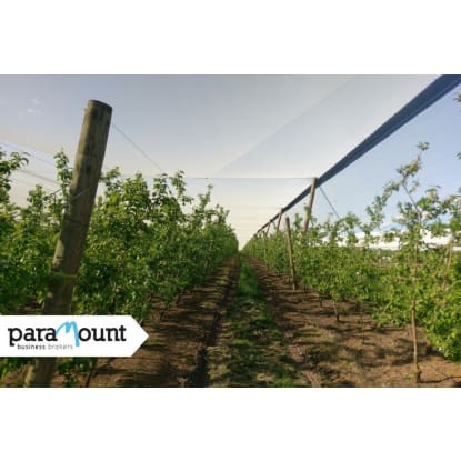 Leading Crop Protection/Netting Infrastructure Specialist VIC (Our Ref: 2065)