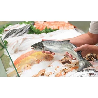 Fresh Seafood - Unlimited Potential & Growth - 37364