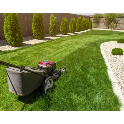 Property Maintenance & Landscaping Business - 5874