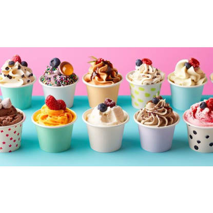 FROZEN YOGURT/DESSERT -- ELSTERNWICK -- 1P10574