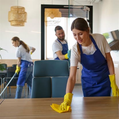 Premium Cleaning Business - Sth-West WA