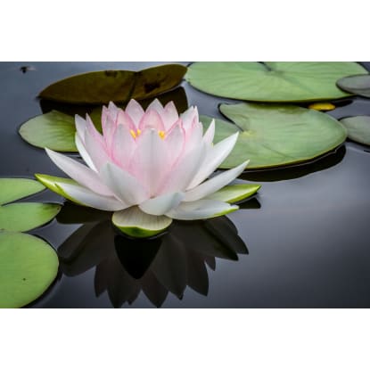 Prime Skin & Medi-Spa Clinic in Brisbane