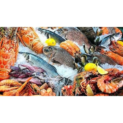 Ref: 3101, *MONEY MAKER* Seafood, Eastern Suburbs