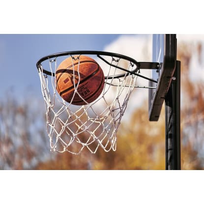 Ref: 3037, BASKETBALL FRANCHISE BUSINESS, Sydney
