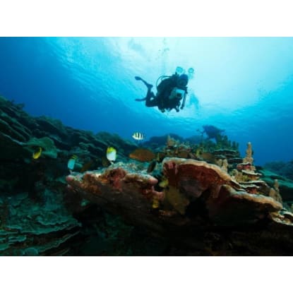 Professional Scuba Retailer