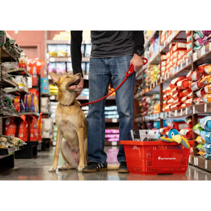Fresh Pet Food & Retail Shop - Dandenong MW1504