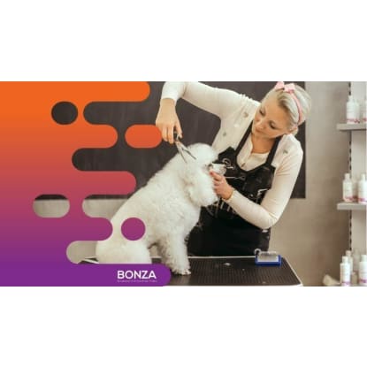 35482 Popular Pet Grooming Salon on the Sunshine Coast