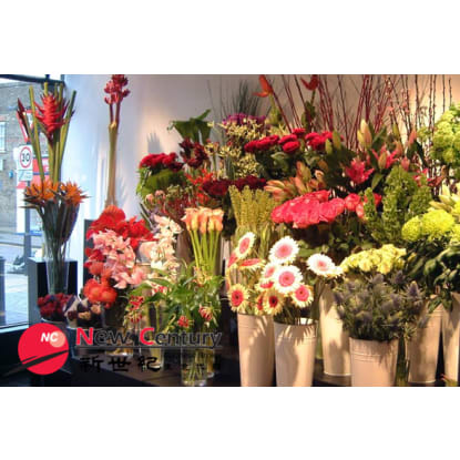 FLORIST-- GLADSTONE PARK -- 1P10632