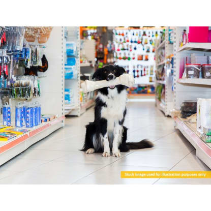 Easy-to-run pet accessories store