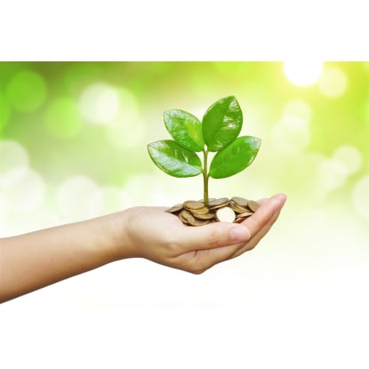 Leading 2 Pac Refinishing Business