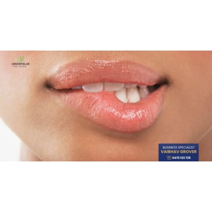 Highly Profitable Adult Entertainment Business  Prime South East Melbourne