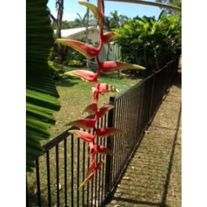 Fencing - Fabrication - Building and Construction - Fencing business with fabrication workshop ...