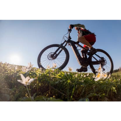 23201 Successful & Longstanding Electric Bicycle Retailer - Lucrative Market