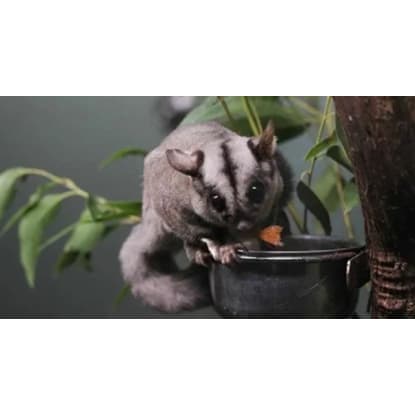 Profitable Pest Control Business for Sale