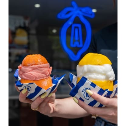 An Instagram-Loved Artisan Sorbet Brand with Strong Growth Potential (DM2503)