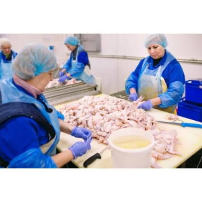Fresh Meat Processing & Distribution Business