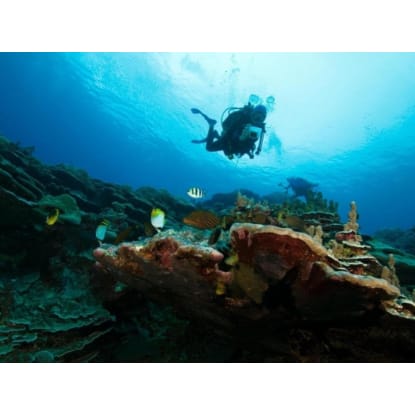 Professional Scuba Retailer