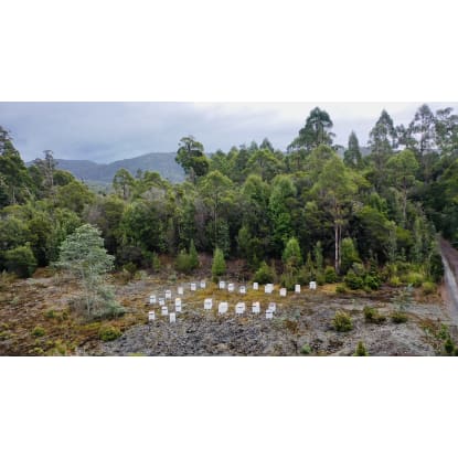 Asset-Based Small Scale Commercial Beekeeping Opportunity for Sale