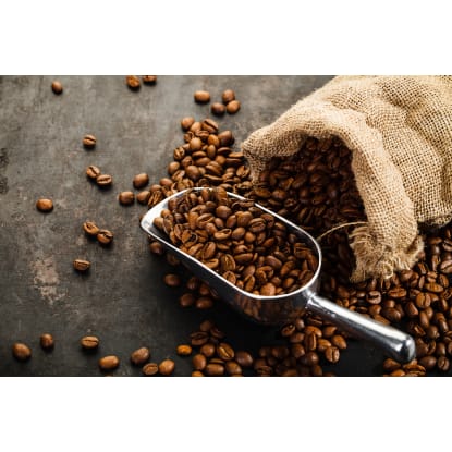 "Specialty Coffee Café Opportunity in Maryborough, QLD"