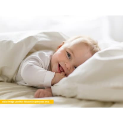 Premium nursery retailer with established market presence