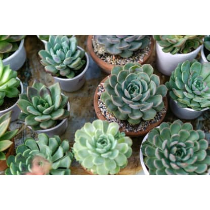 Protective Membrane Specialist  T/O $5M  Wellington Central, NZ