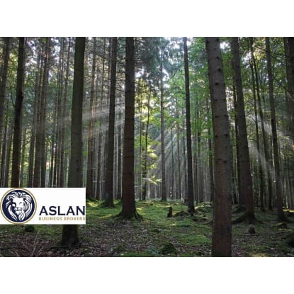 LAND FOR SALE IN NEW ZEALAND