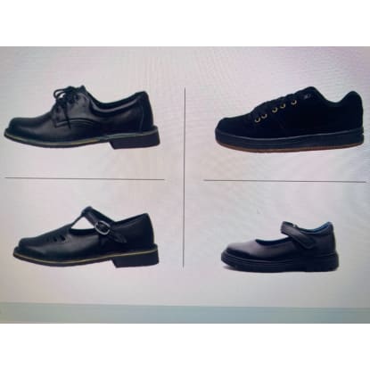 Importer Wholesaler (GLJCS2518)