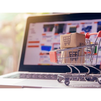 In Voluntary Administration – Online Electronic Products Battery Business