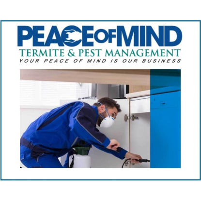 Established Termite & Pest Management Business Flexible, Mobile Operation. WIWO