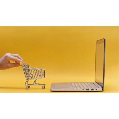 Opportunity to Own a Standout Online Women's Apparel Brand